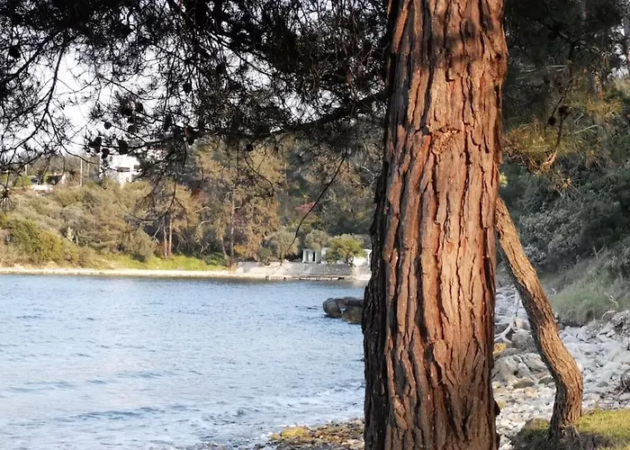 3 Διαμέρισμα *